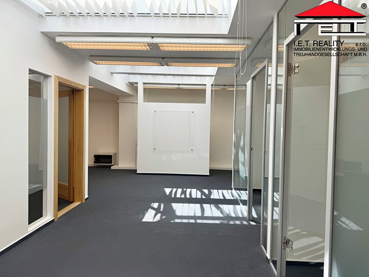 Pronájem komerčního prostoru, 196 m² (11 z 29)