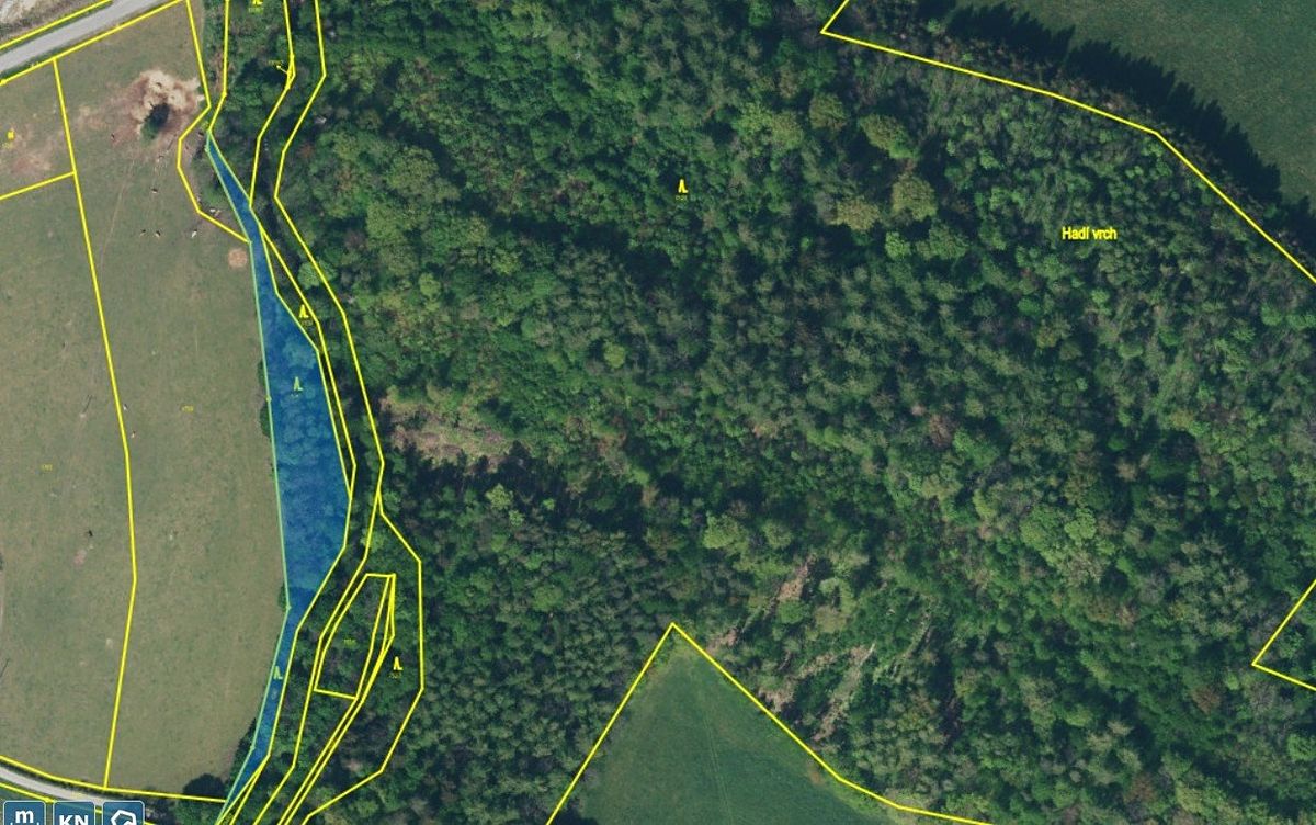 Prodej lesa 3247 m², Skorošice – fotka 1 z 3