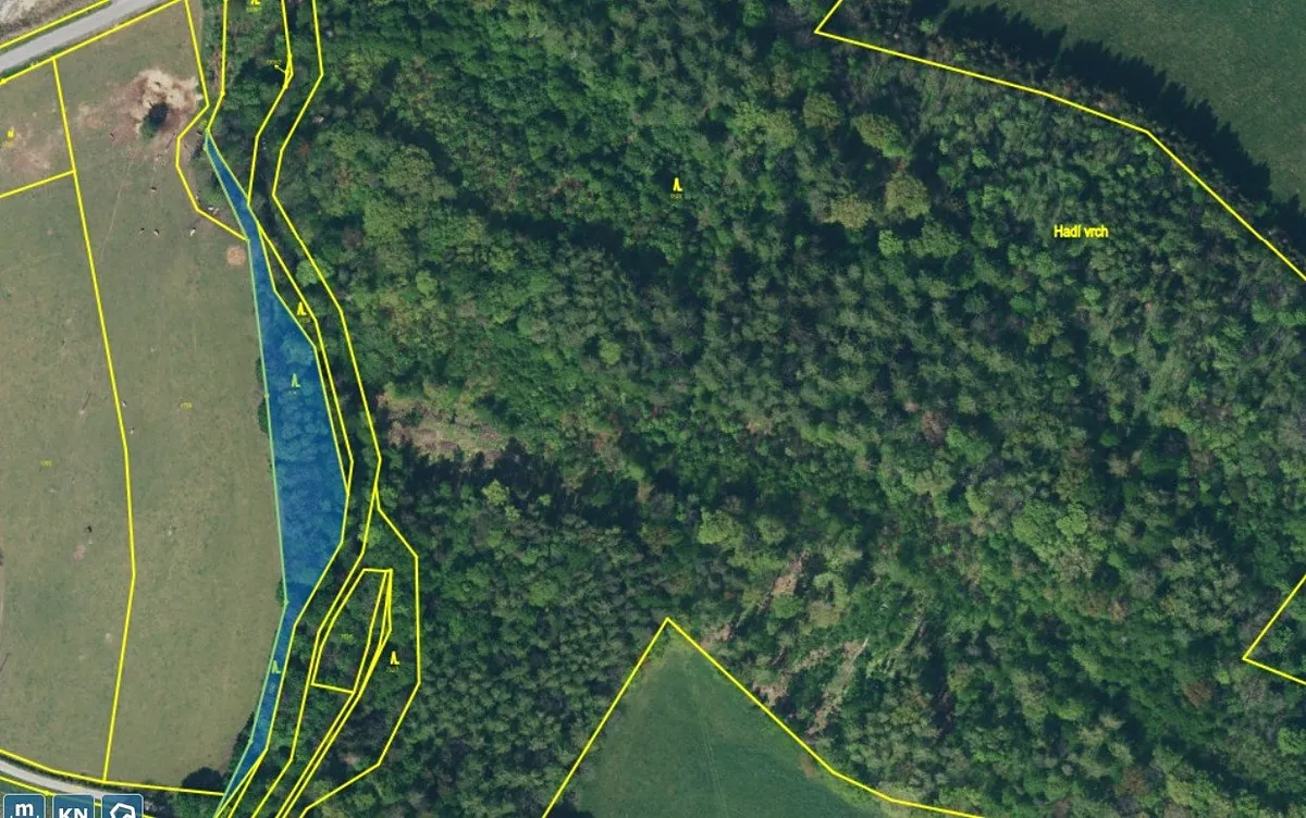 Prodej lesa 3247 m²