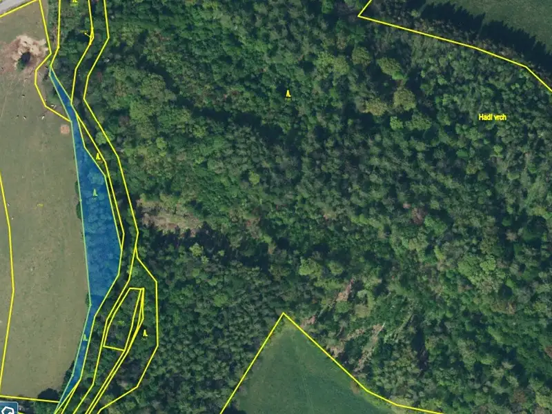 Prodej lesa 3247 m², Skorošice – náhled fotky 1