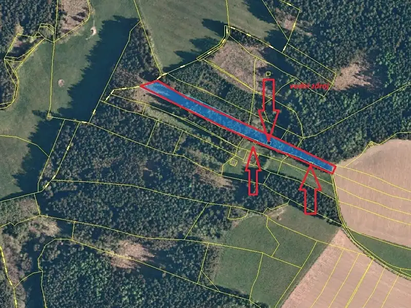 Prodej lesa 9184 m², Řečice – náhled fotky 3