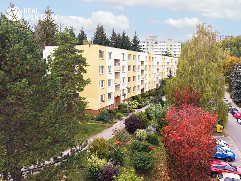 Prodej bytu 3+1 72 m², Brno – náhled fotky 1