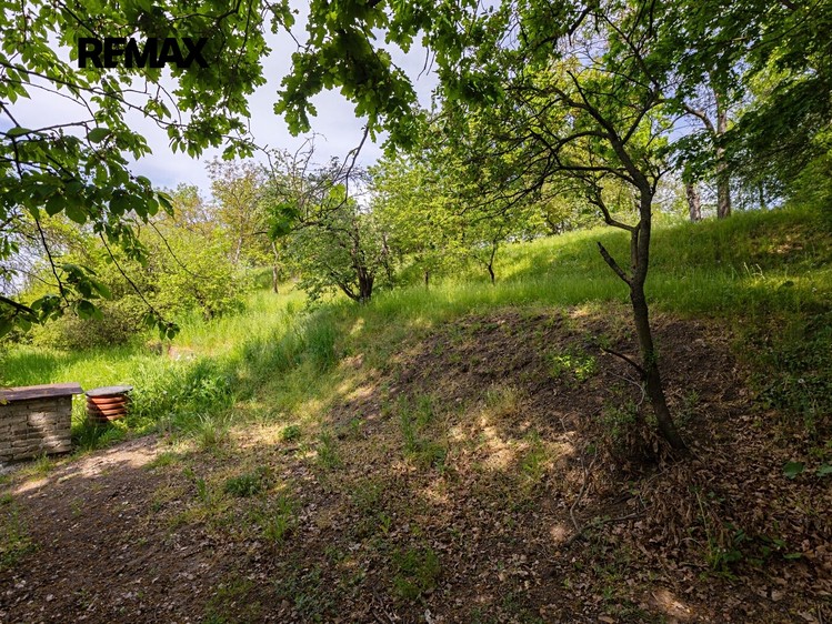 Grundstück zum Kauf, 953 m² (5 von 11)