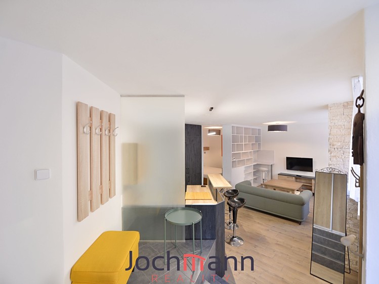 Wohnung 1+kk zur Miete, 50 m² (8 von 14)