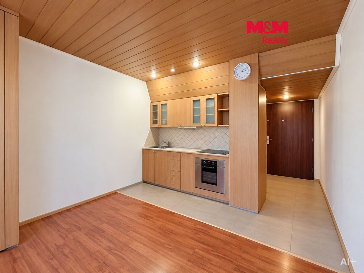 Pronájem bytu 1+1 39 m²