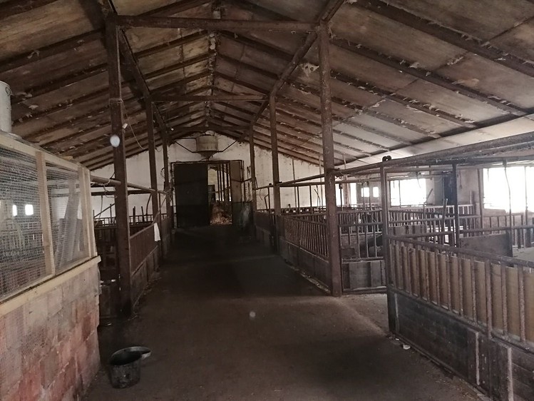 Ділянка на аукціоні, 6 715 м² (13 з 16)