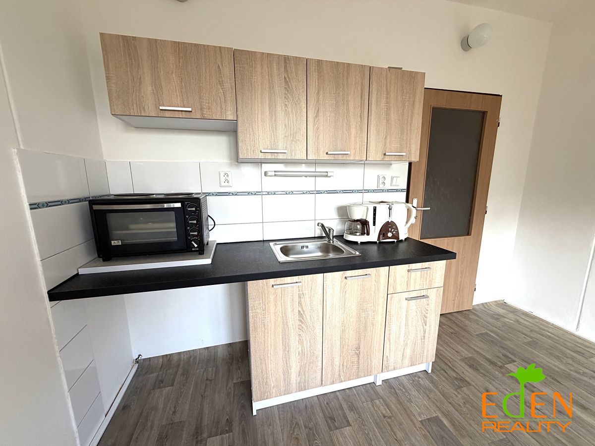 Pronájem bytu 1+kk 20 m², Plzeň – fotka 1 z 3