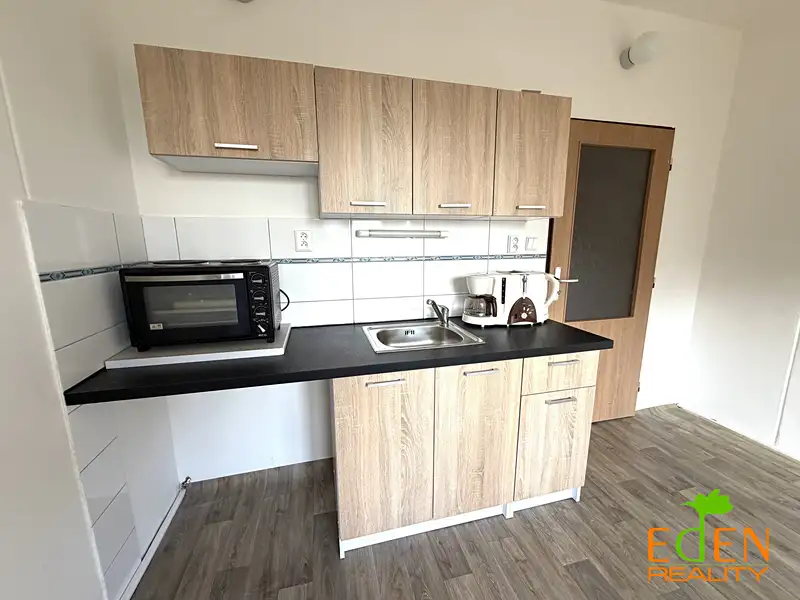 Pronájem bytu 1+kk 20 m², Plzeň – náhled fotky 1