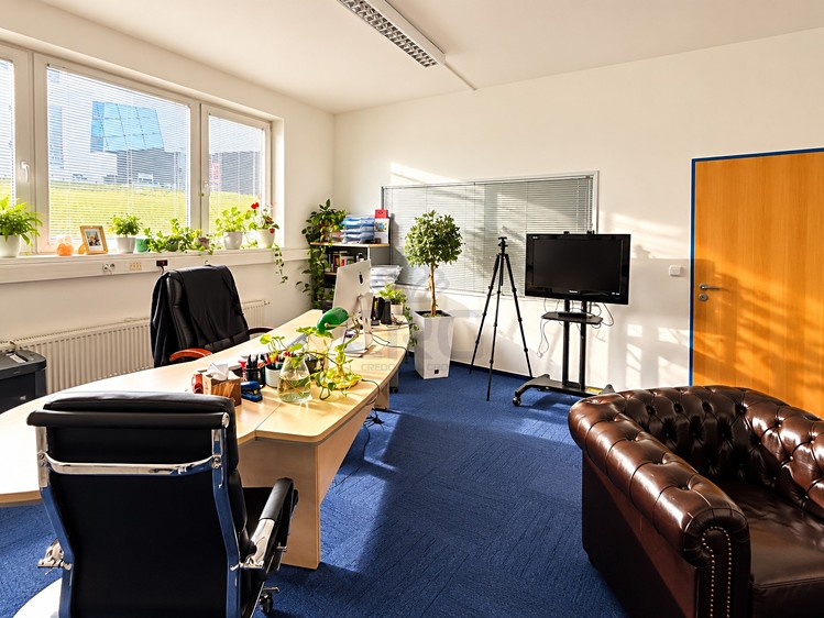 Pronájem komerčního prostoru, 125 m² (19 z 59)