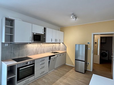 Wohnung 1+kk zur Miete, 36 m² (3 von 15)
