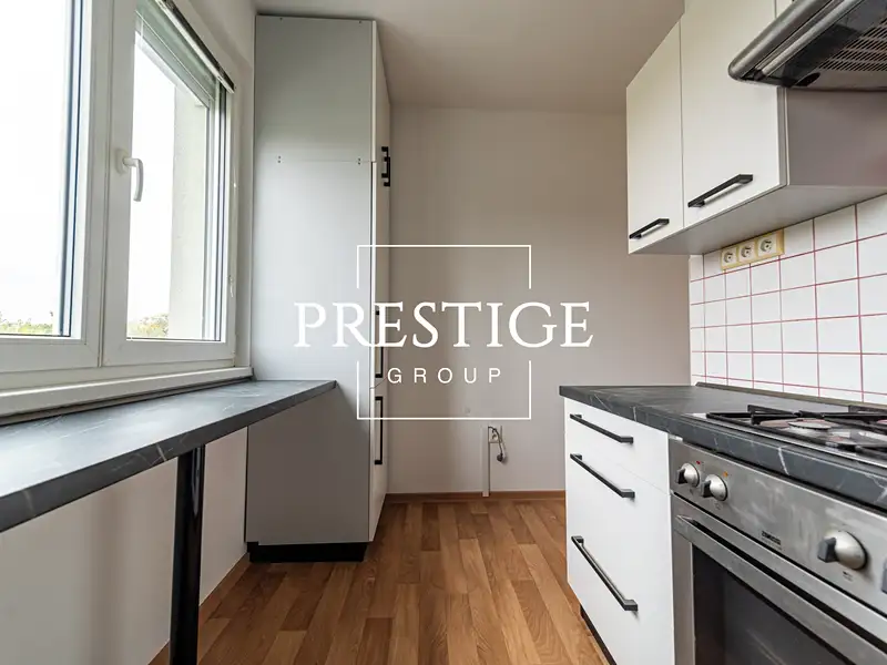 Pronájem bytu 2+kk 53 m², Praha – náhled fotky 2