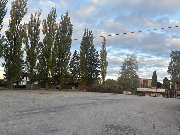 Pronájem komerčního prostoru, 1 000 m² (2 z 7)