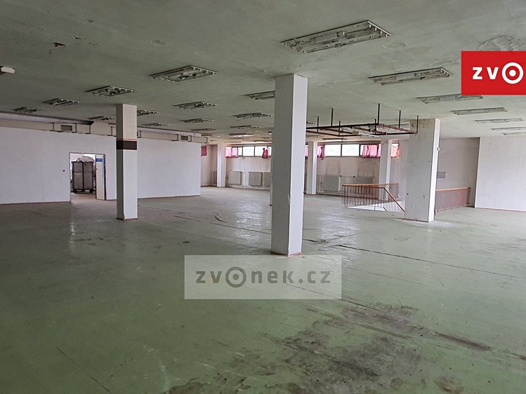 Gewerbefläche zur Miete, 523 m² (2 von 4)