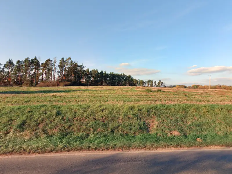 Prodej pole 18300 m², Velký Bor – náhled fotky 2