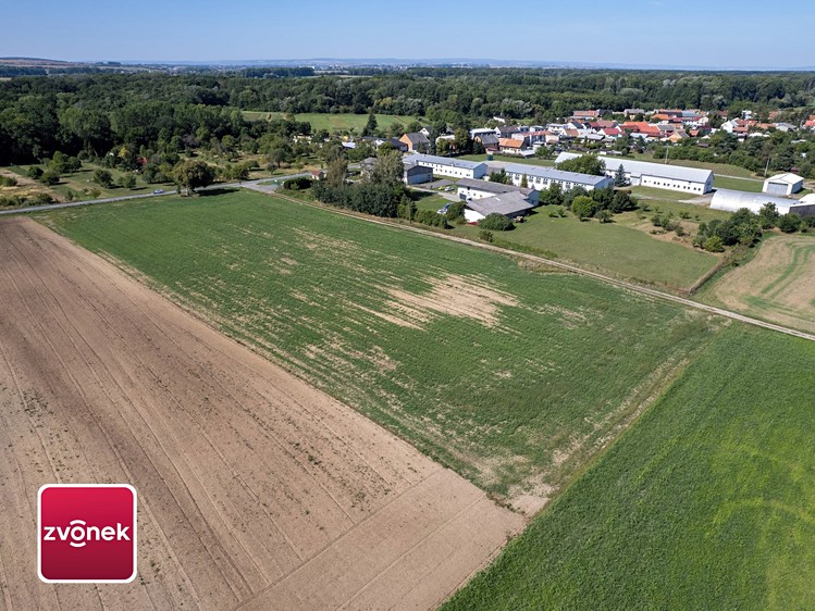 Ділянка на продаж, 12 000 м² (2 з 10)