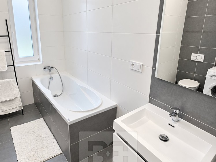Pronájem bytu 1+1, 45 m² (3 z 13)