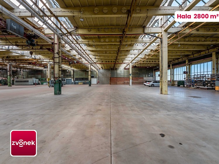 Комерційне приміщення в оренду, 2 800 м² (18 з 26)