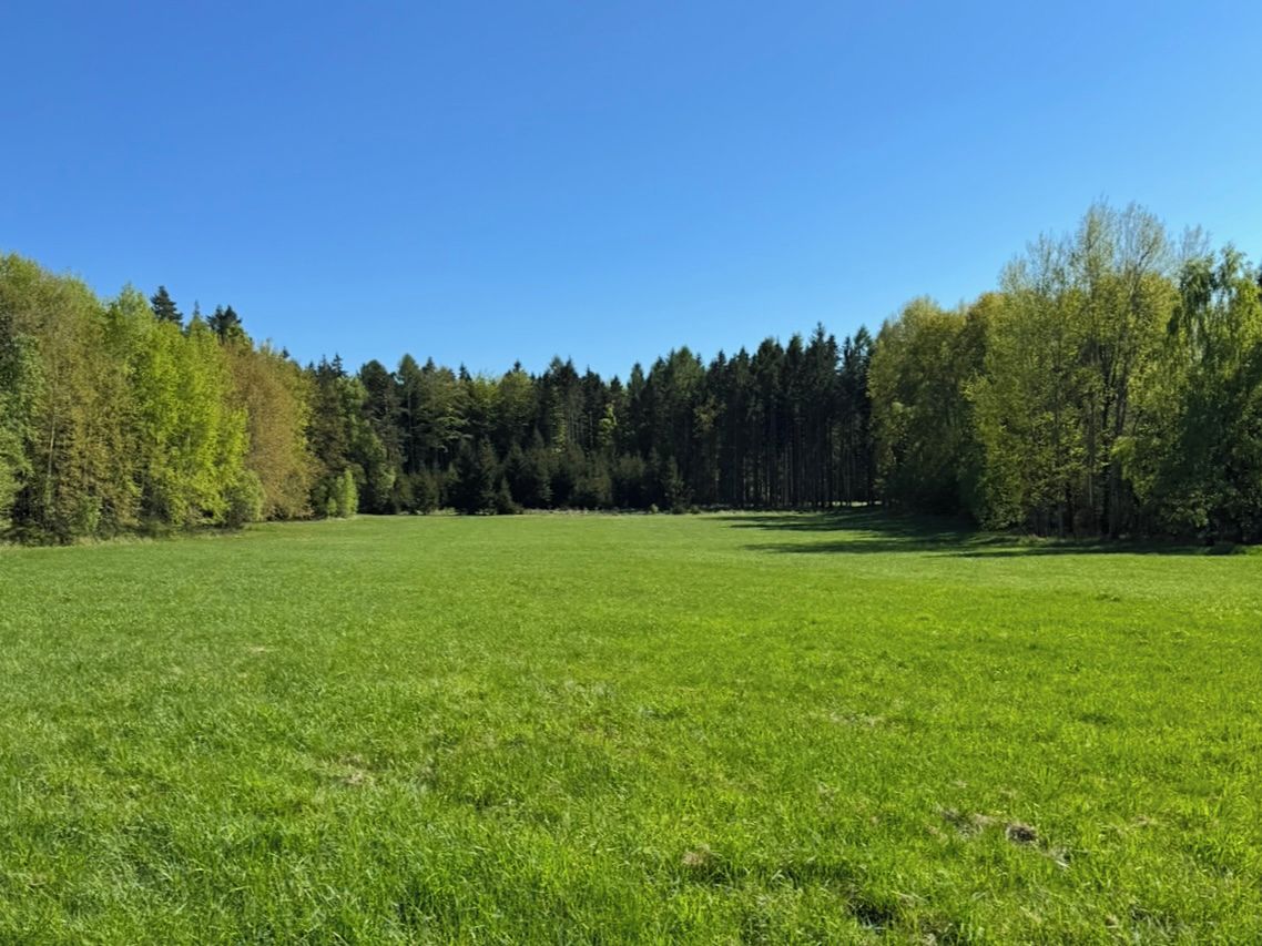 Prodej louky 16750 m², Ondřejov – fotka 1 z 3