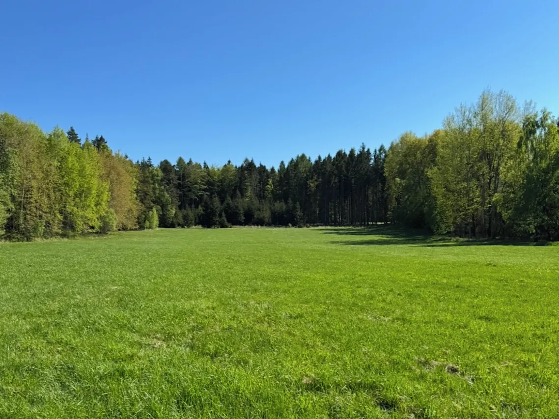 Prodej louky 16750 m²