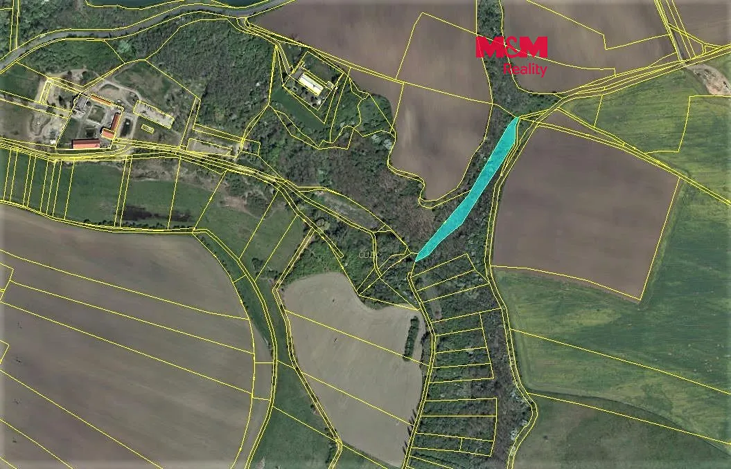 Prodej louky 4313 m²
