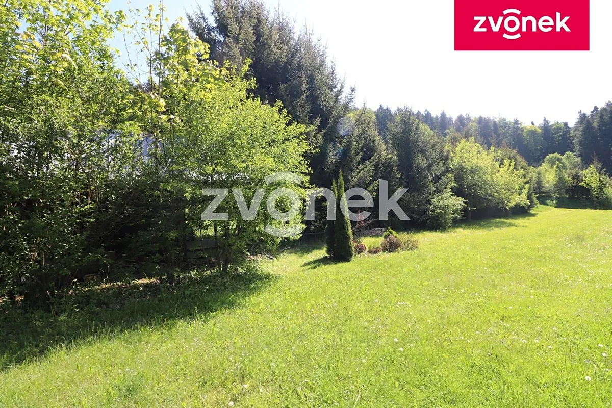 Fotka 14 z 20
