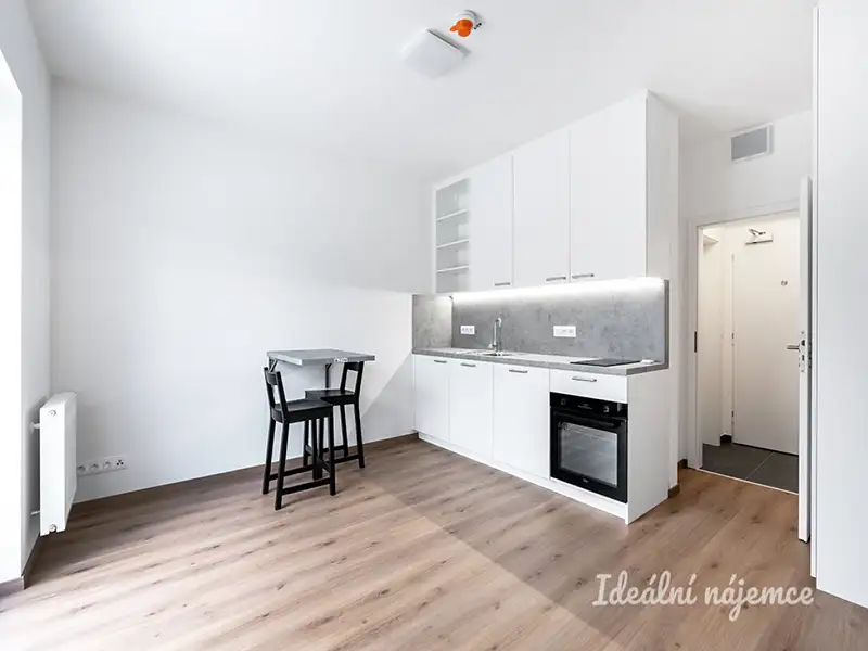 Pronájem bytu 1+kk 22 m², Tuchoměřice – náhled fotky 1