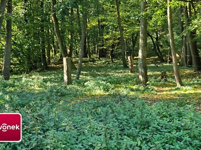 Ділянка на продаж, 1 620 м² (2 з 10)
