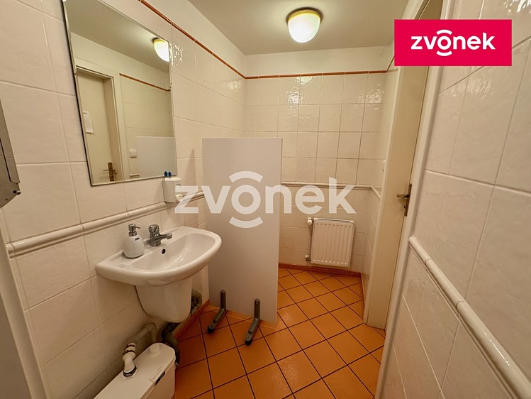 Комерційне приміщення в оренду, 460 м² (17 з 23)