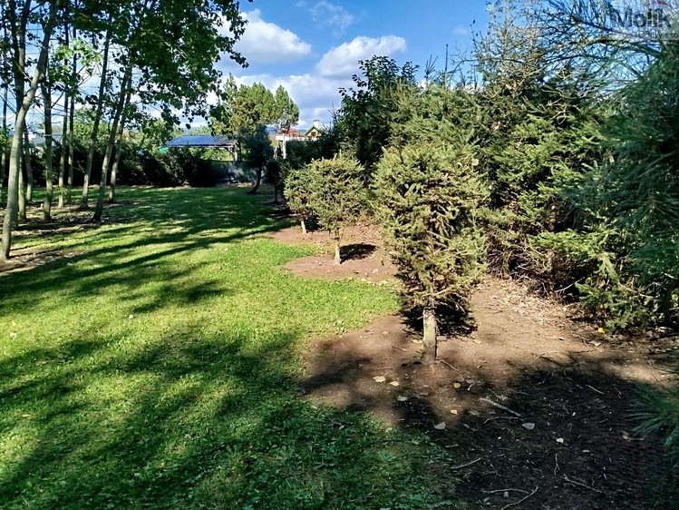 Grundstück zum Kauf, 3.916 m² (5 von 11)