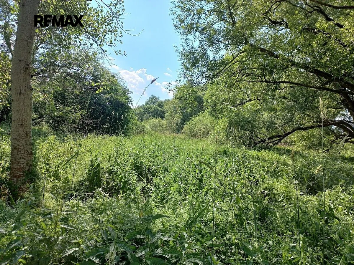 Prodej pozemku 4517 m²