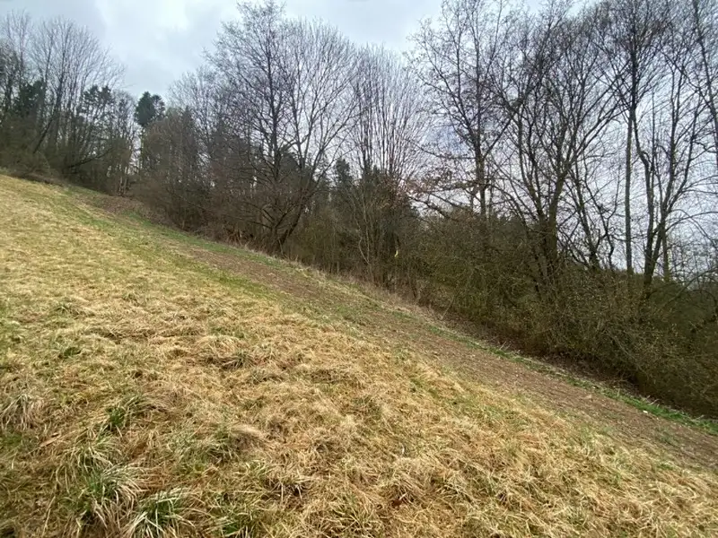 Dražba louky 7826 m², Semily – náhled fotky 2