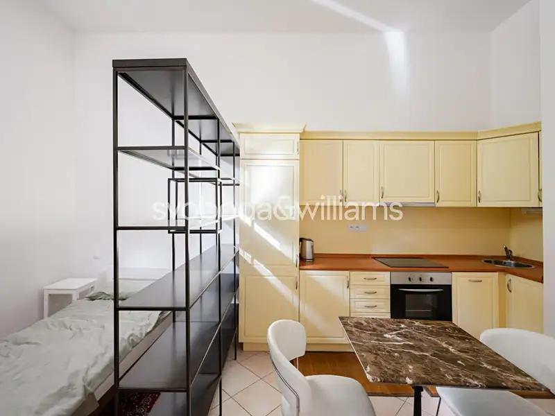 Pronájem bytu 1+kk 41 m², Praha – náhled fotky 3