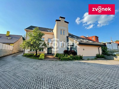 Комерційне приміщення в оренду, 460 м² (2 з 23)