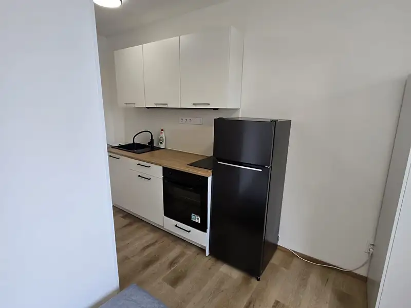 Pronájem bytu 1+kk 15 m², Králův Dvůr – náhled fotky 2