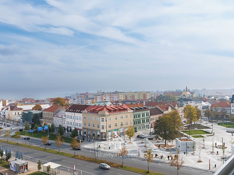Pronájem bytu 2+1, 59 m² (22 z 31)