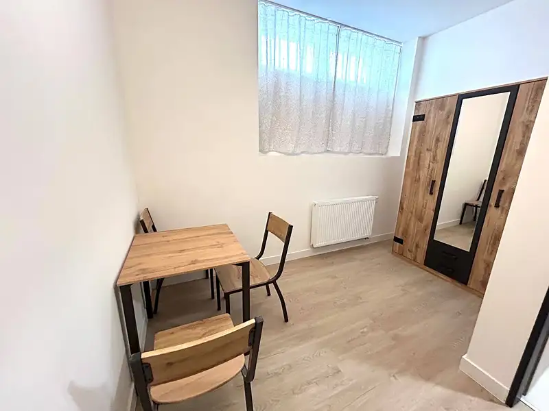 Pronájem bytu 1+1 35 m², Praha – náhled fotky 3