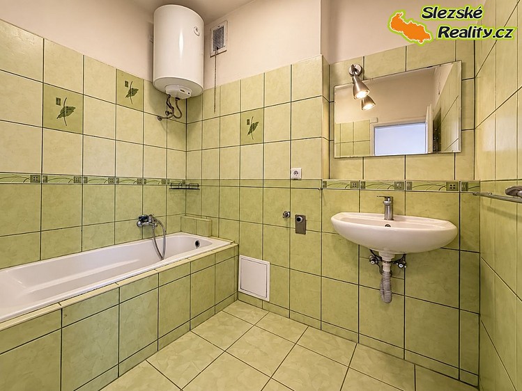 Pronájem bytu 1+1, 45 m² (10 z 24)