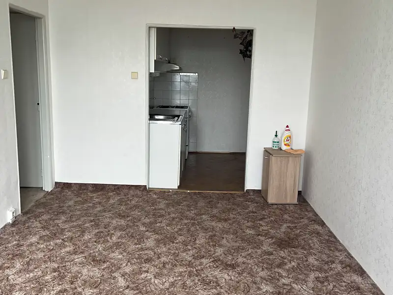 Prodej bytu 2+kk 43 m², Praha – náhled fotky 3