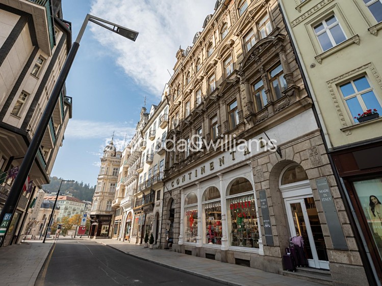 Prodej komerčního prostoru, 993 m² (3 z 20)