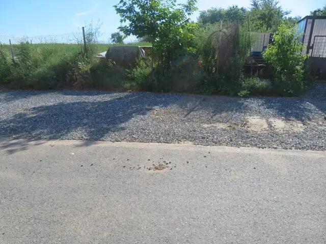 Dražba pole 2415 m², Břežany I – náhled fotky 3