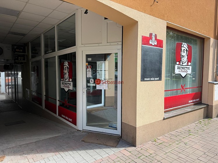 Pronájem komerčního prostoru, 38 m² (7 z 7)