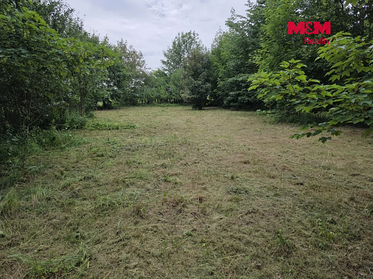 Fotka 13 z 13