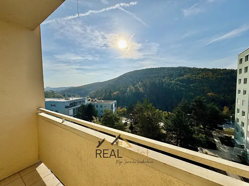 Pronájem bytu 2+1 62 m², Brno – náhled fotky 1