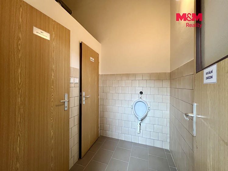 Комерційне приміщення в оренду, 410 м² (13 з 29)