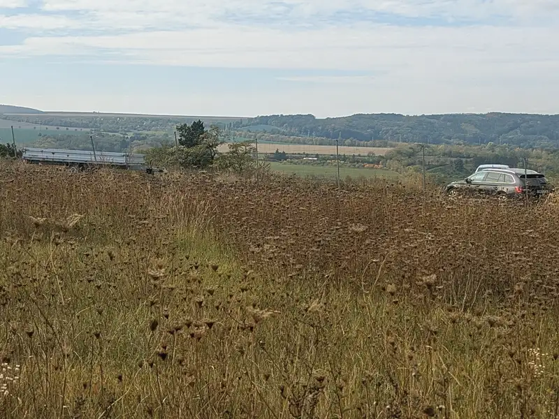 Prodej stavebního pozemku 824 m², Větrušice – náhled fotky 1