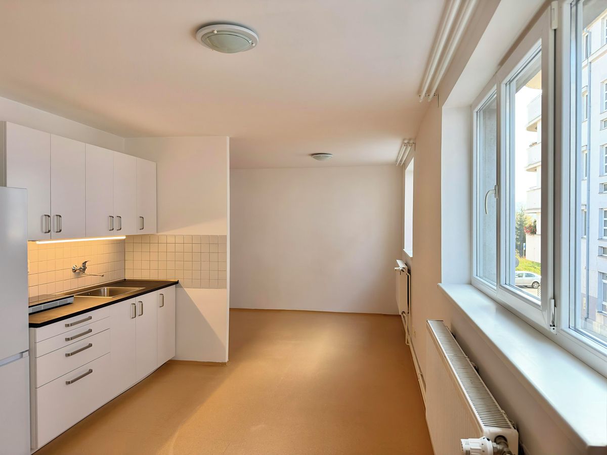 Pronájem bytu 1+kk 39 m²