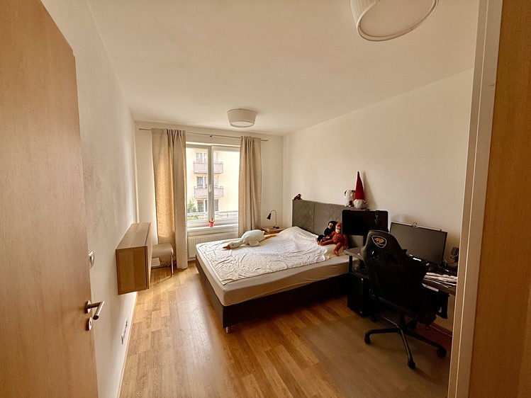 Prodej bytu 2+kk, 54 m² (4 z 9)