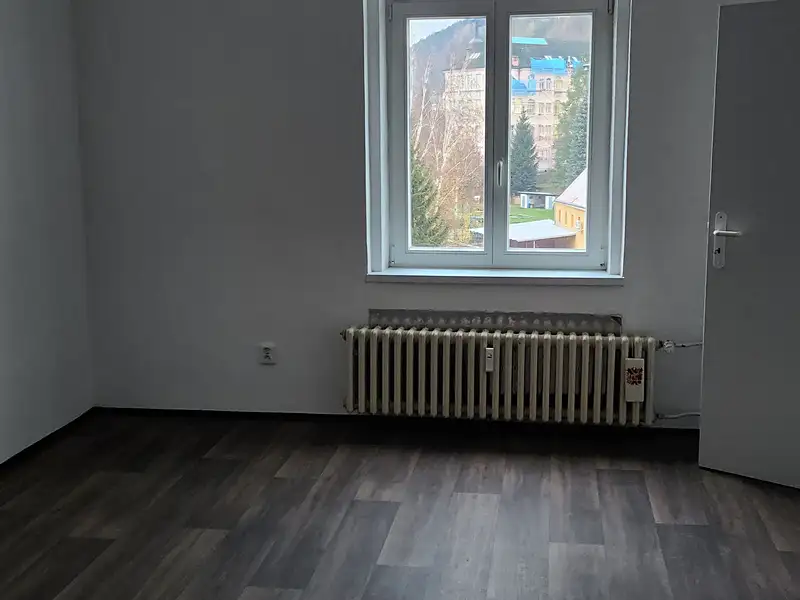 Pronájem bytu 3+1 80 m², Děčín – náhled fotky 3