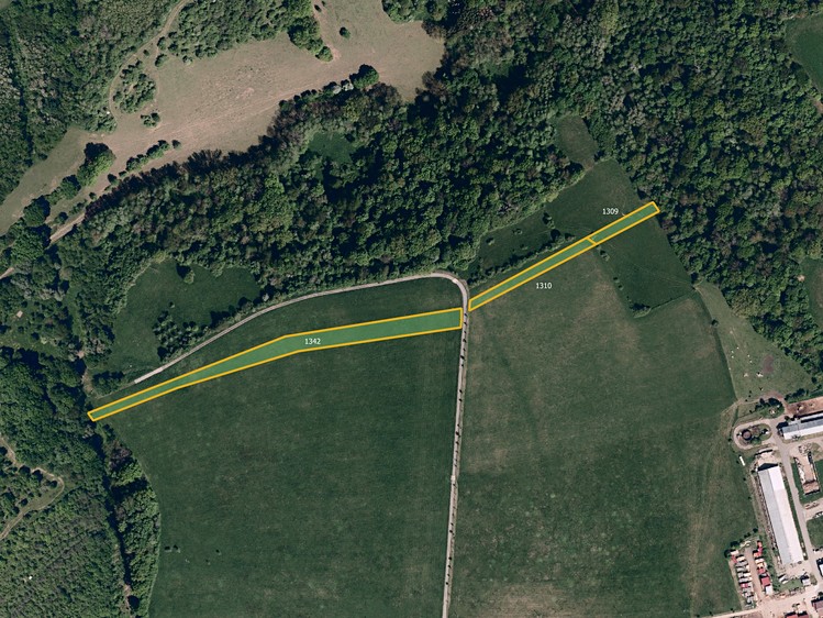 Grundstück zum Kauf, 55.967 m² (3 von 6)
