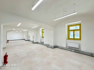Комерційне приміщення в оренду, 137 м² (2 з 12)